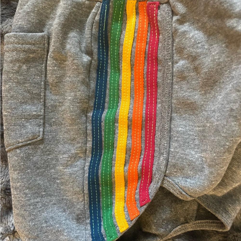 COPY - Aviator Nation Rainbow Stripe Shorts Large Navy